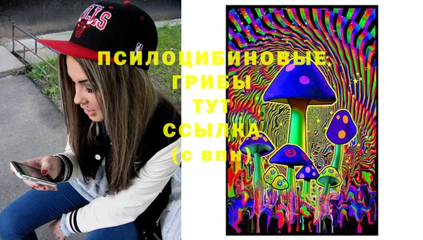 твердый Богородицк